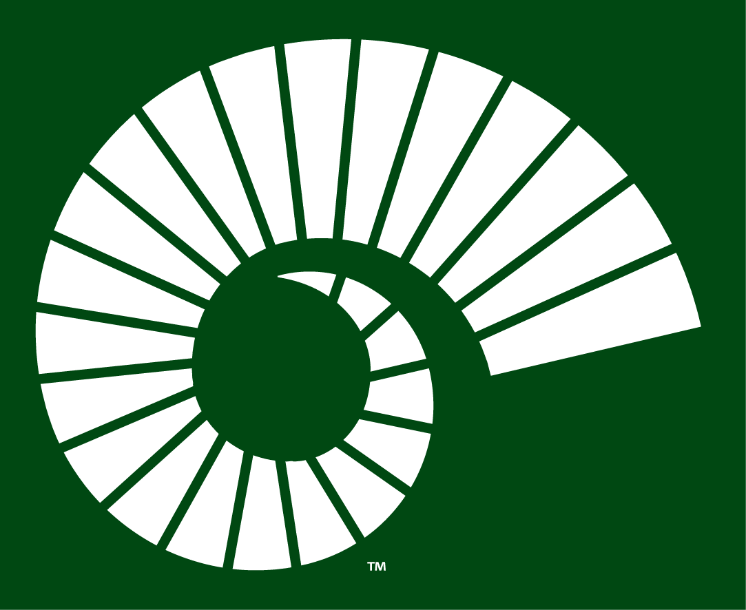 Colorado State Rams 2015-Pres Alternate Logo v3 iron on transfers for clothing